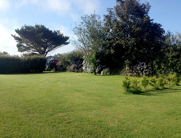 NON SERVICED GRASS PITCH