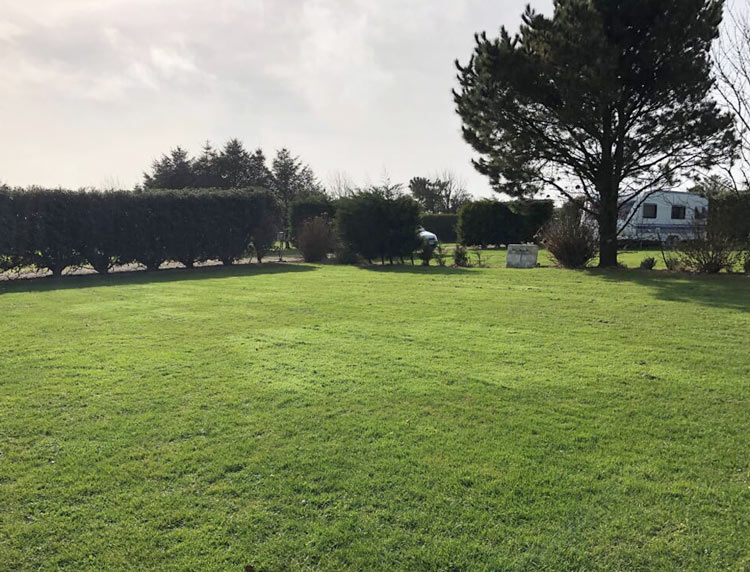 Extra Large Grass Serviced Pitch