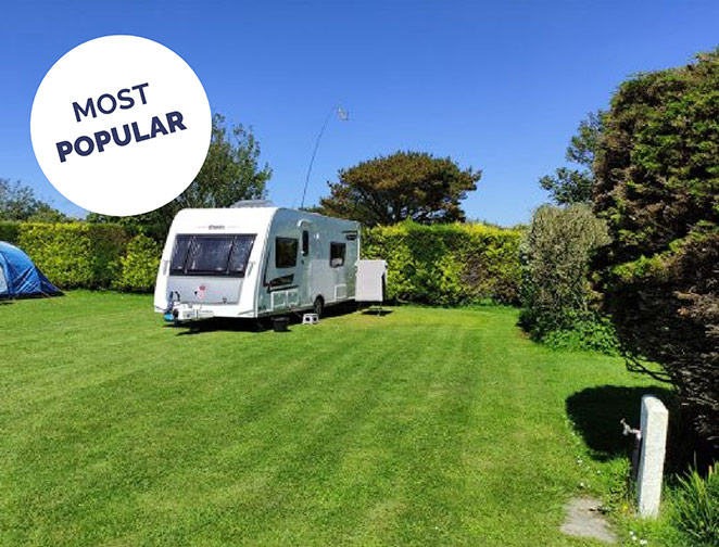 Serviced Grass Pitch